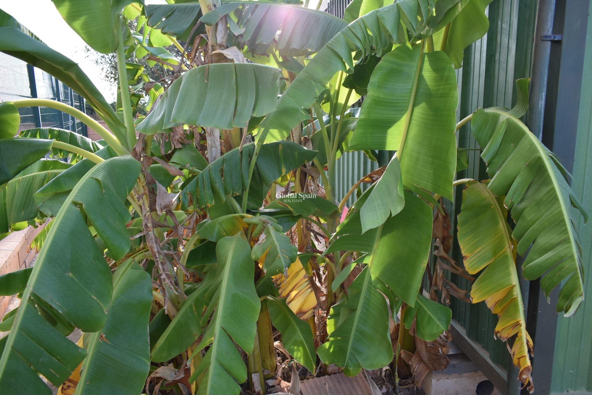 Venta - CASA -
TORRE PACHECO - Dolores De Pacheco