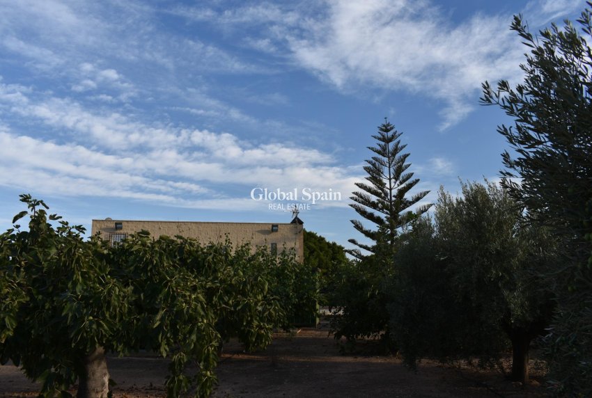 Venta - CASA -
TORRE PACHECO - Dolores De Pacheco