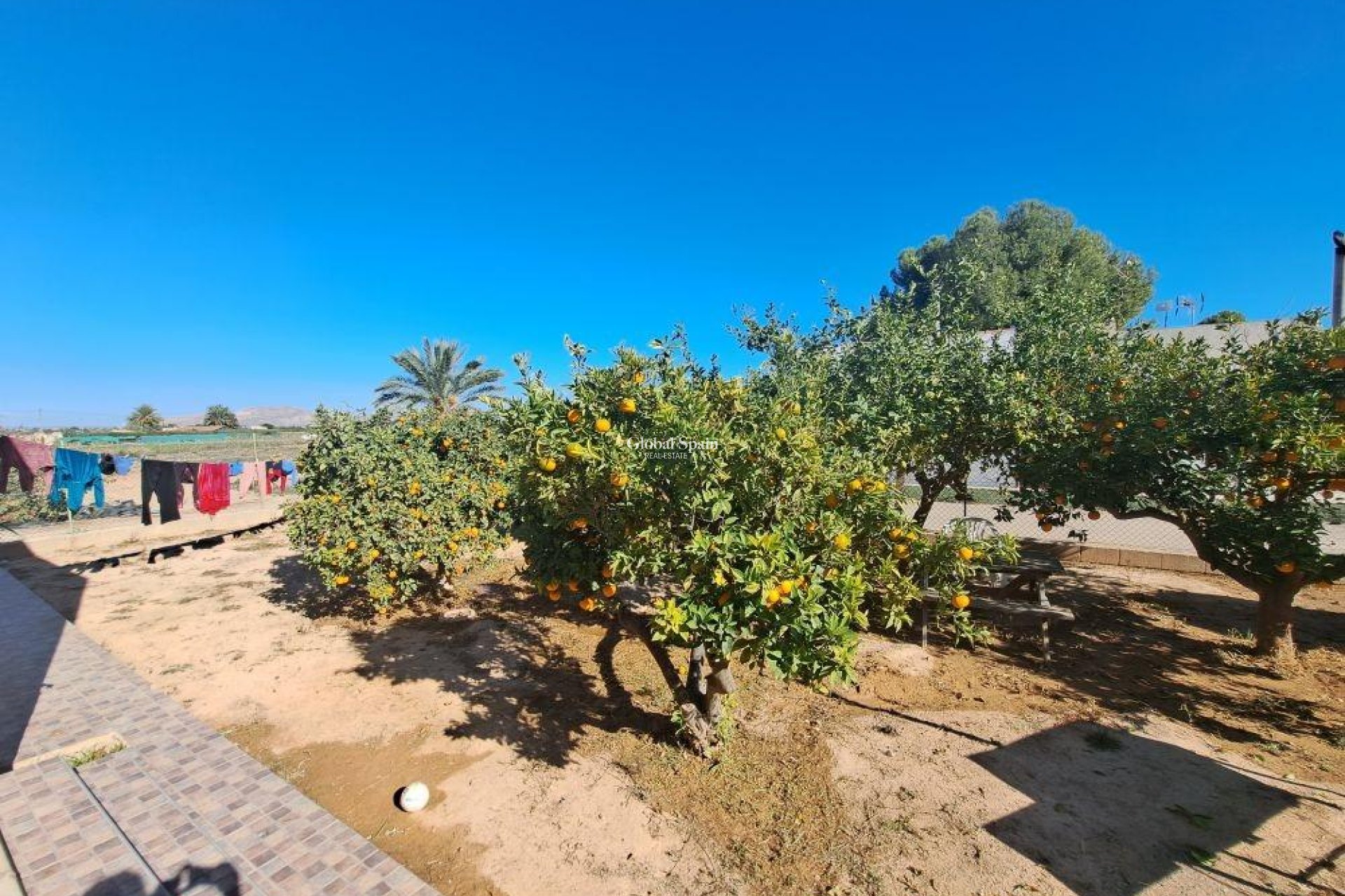 Venta - CASA -
TORRE PACHECO - Murcia