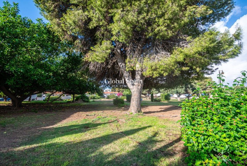 Venta - CASA -
TORREVIEJA - Calas Blancas