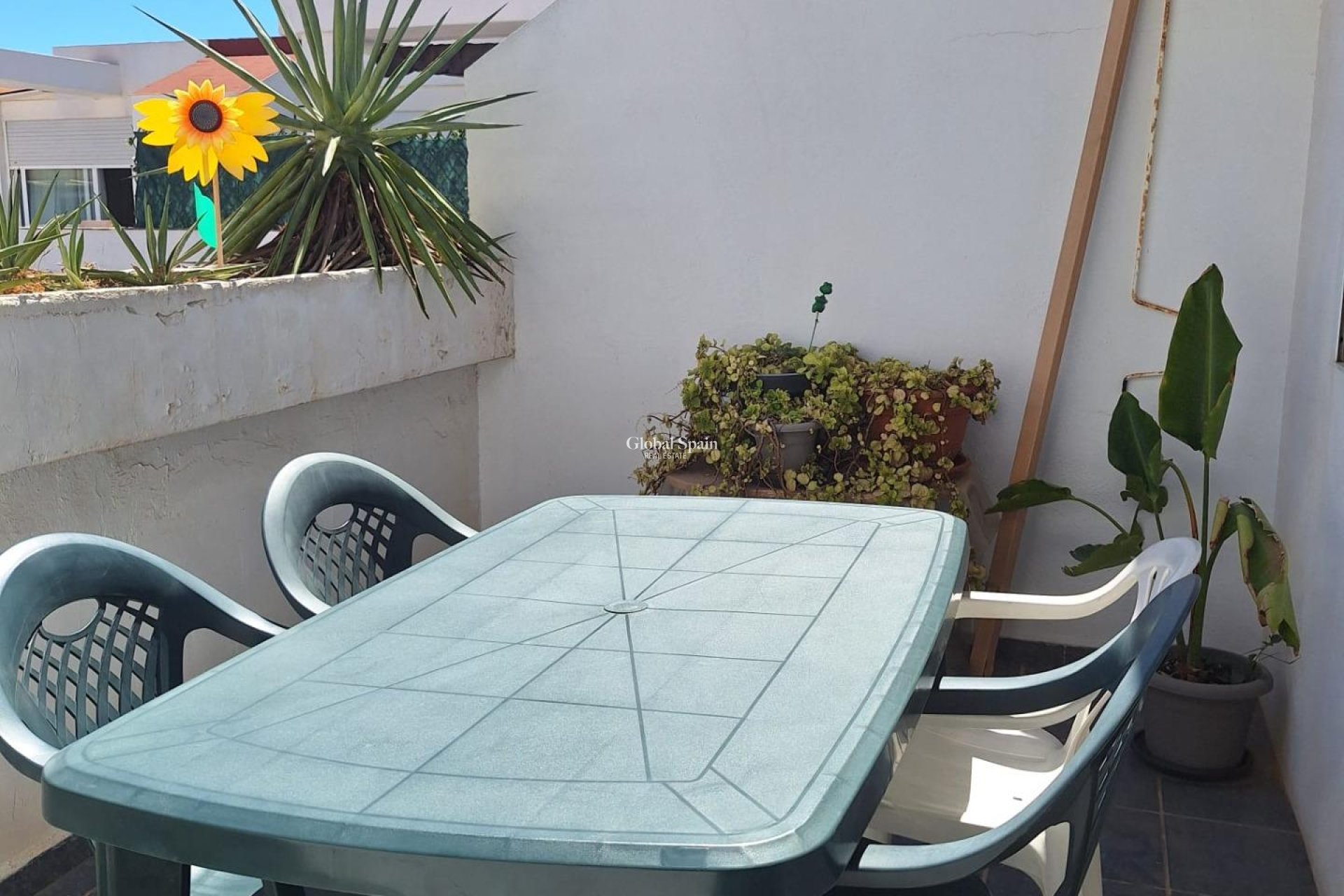 Venta - CASA -
TORREVIEJA - Habaneras