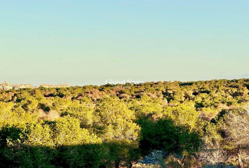 Venta - CASA -
TORREVIEJA - La Siesta - El Salado - Torreta