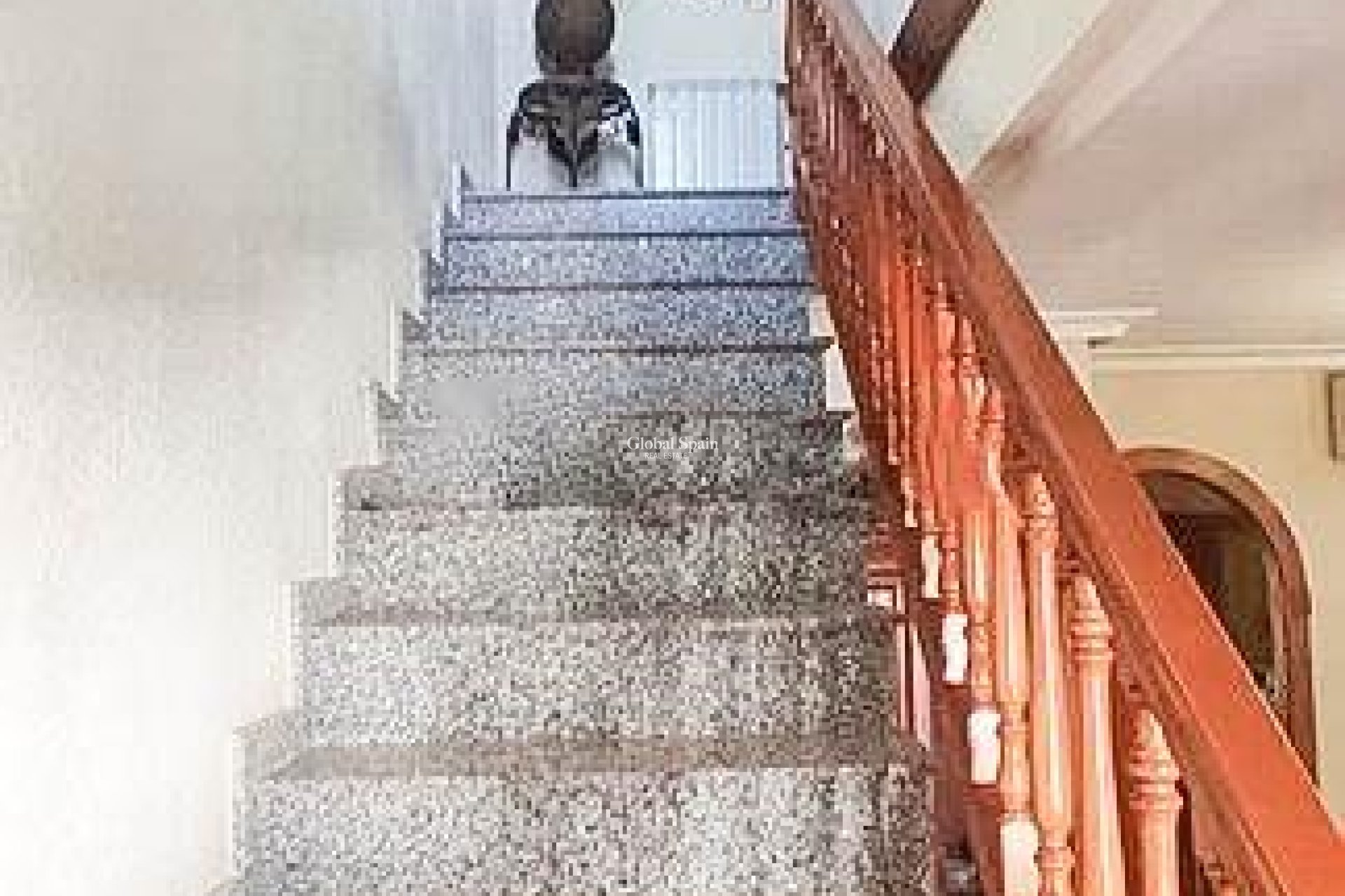 Venta - CASA -
TORREVIEJA - LOS BALCONES - LOS ALTOS