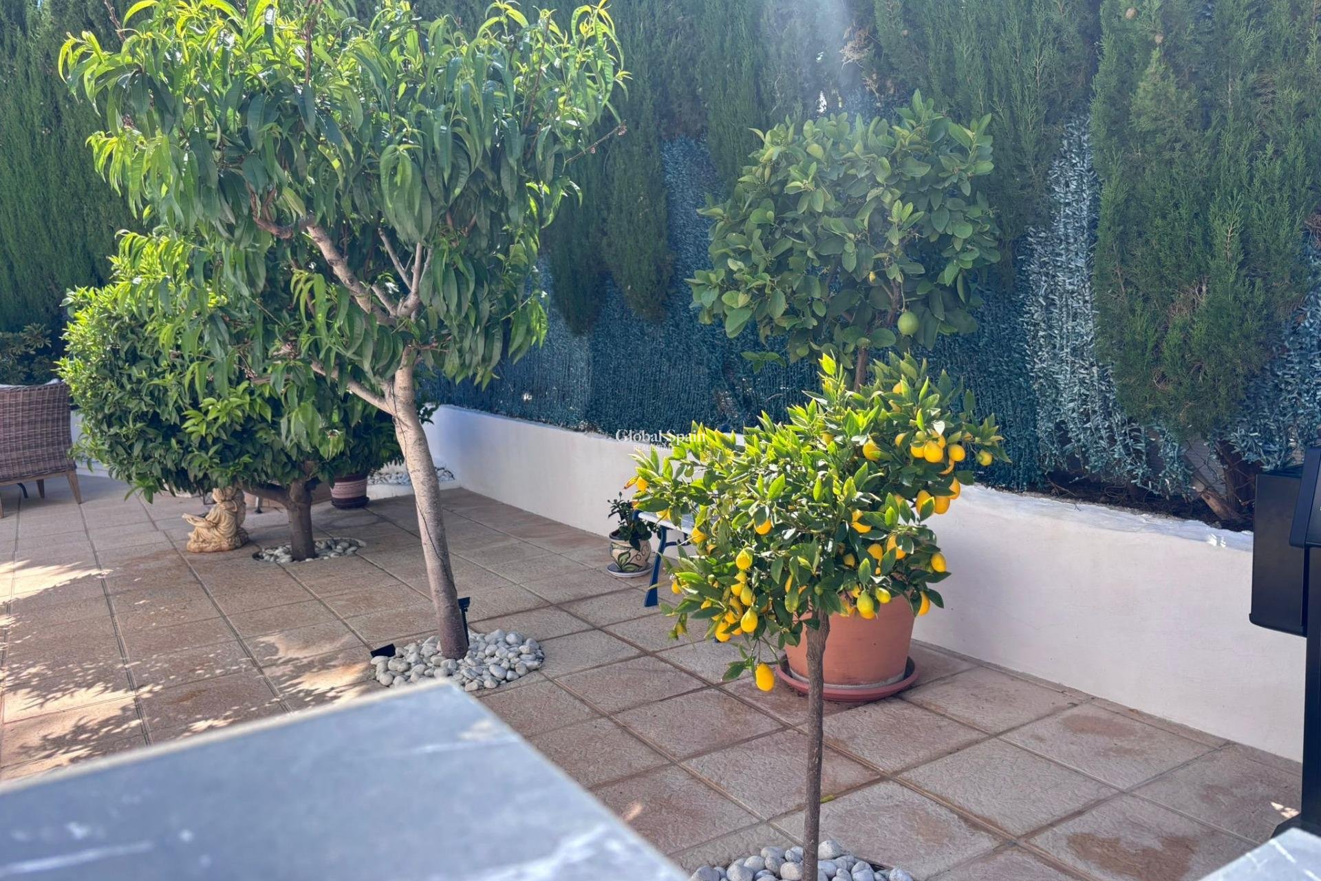 Venta - CASA -
TORREVIEJA - LOS BALCONES - LOS ALTOS