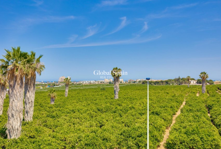 Venta - CASA -
TORREVIEJA - LOS BALCONES - LOS ALTOS