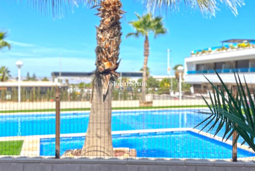 Venta - Casa -
TORREVIEJA - LOS BALCONES - LOS ALTOS