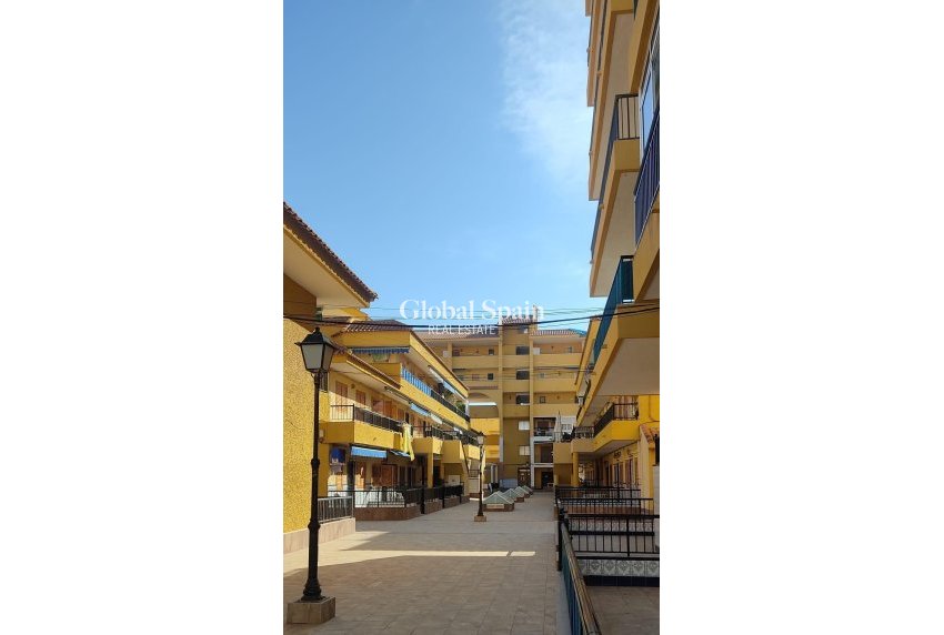 Venta - CASA -
TORREVIEJA - Los Europeos