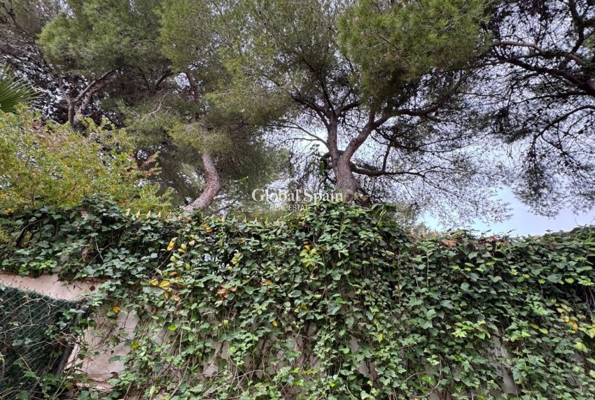 Venta - CASA -
TORREVIEJA - Punta Prima