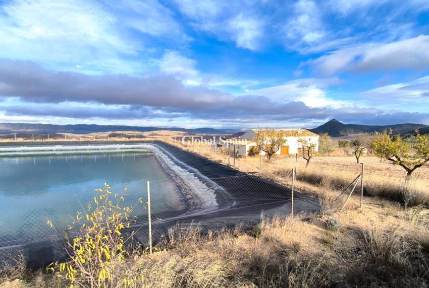 Venta - CASA -
YECLA - Inland