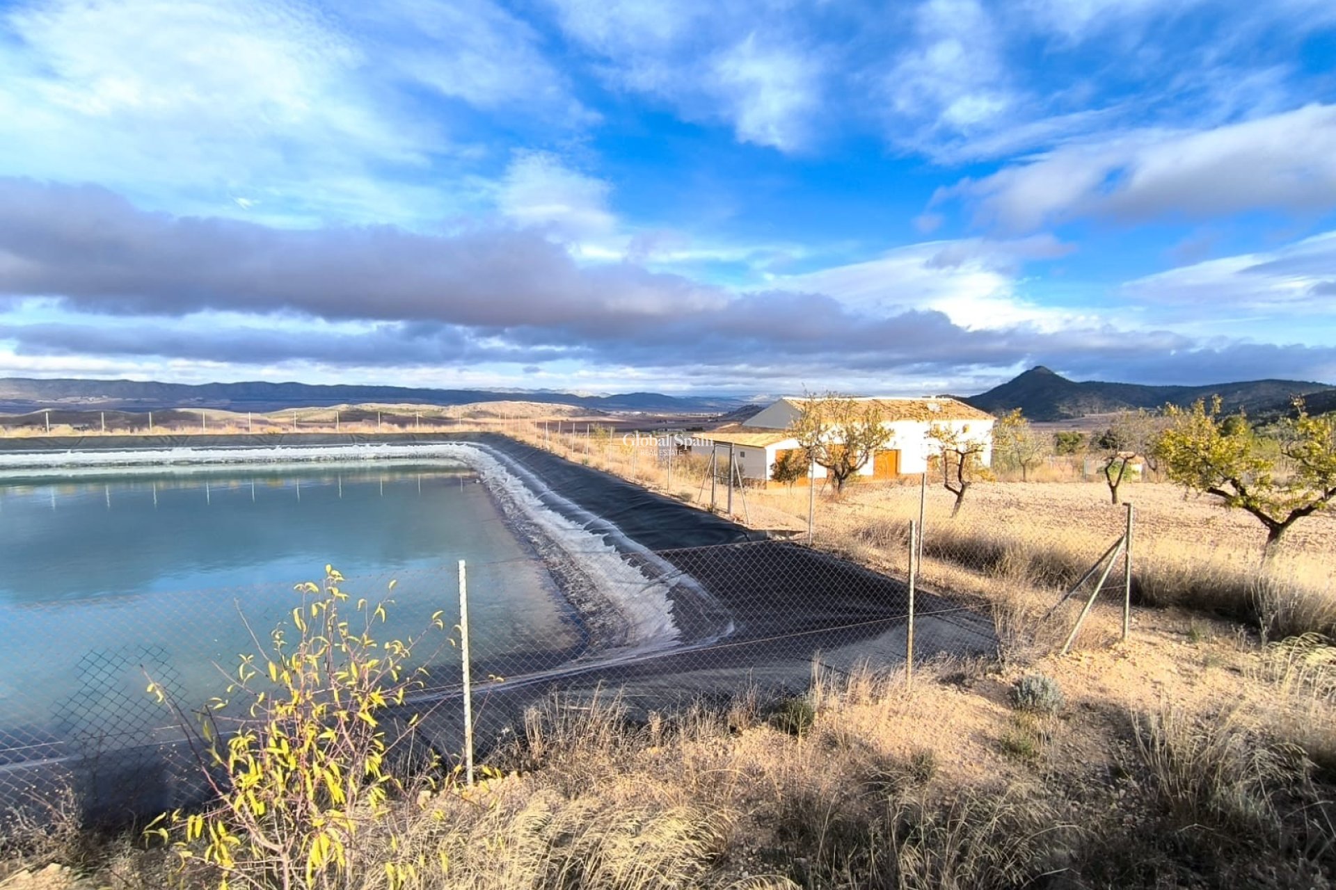 Venta - CASA -
YECLA - Inland