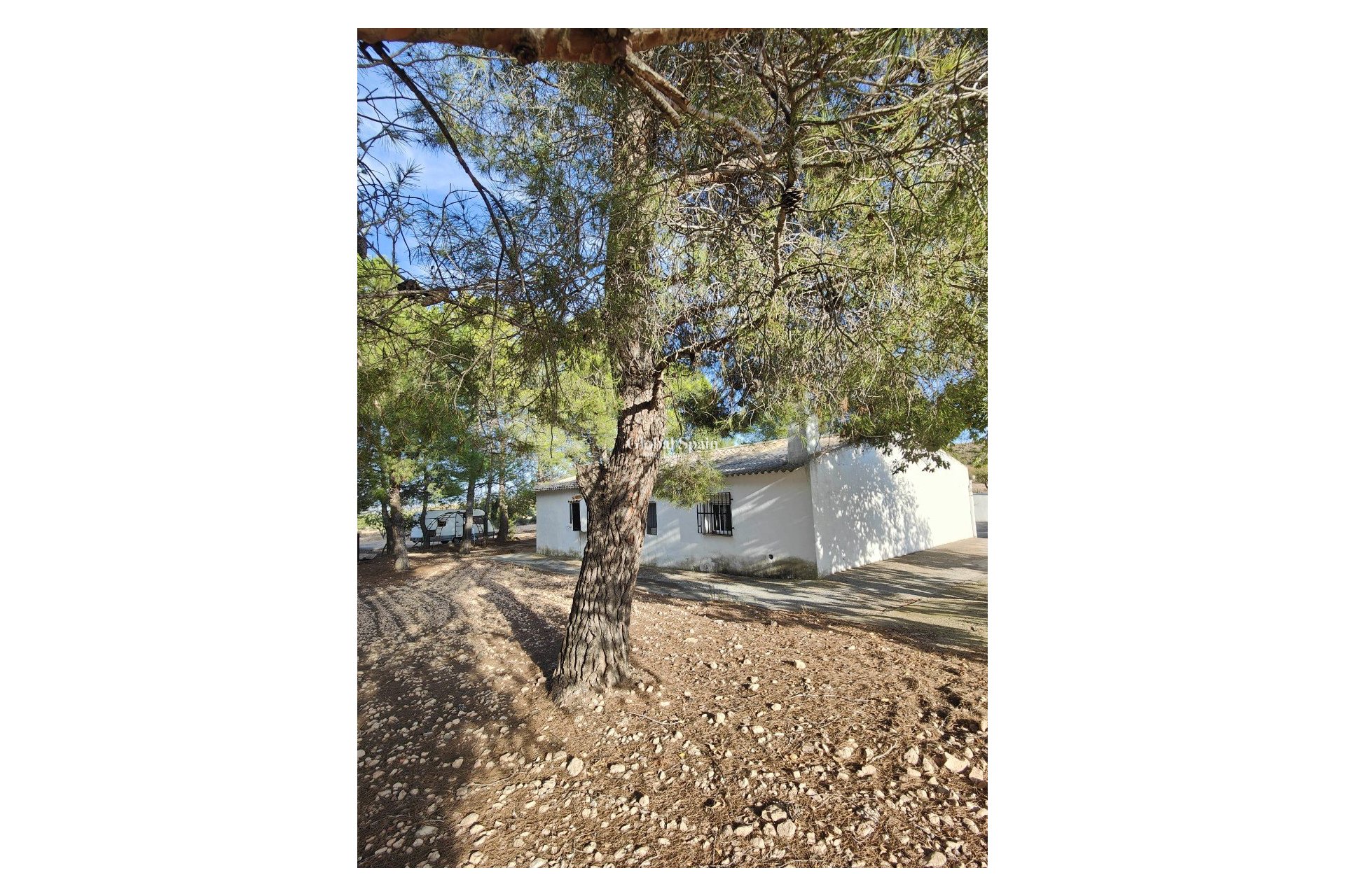 Venta - CASA -
YECLA - Inland