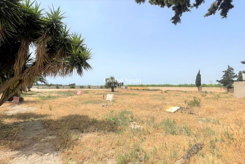 Venta - Comercial -
Balsicas - TORRE PACHECO