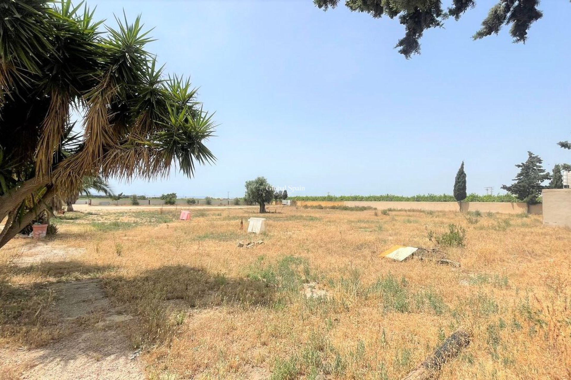 Venta - Comercial -
Balsicas - TORRE PACHECO