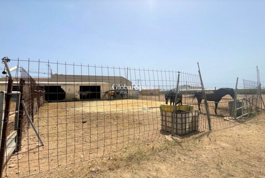 Venta - Comercial -
Balsicas - TORRE PACHECO