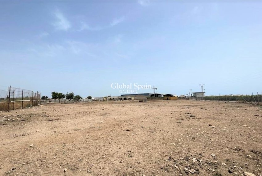 Venta - Comercial -
Balsicas - TORRE PACHECO