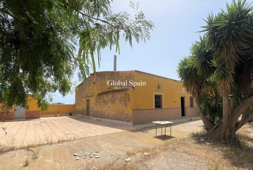 Venta - Comercial -
Balsicas - TORRE PACHECO