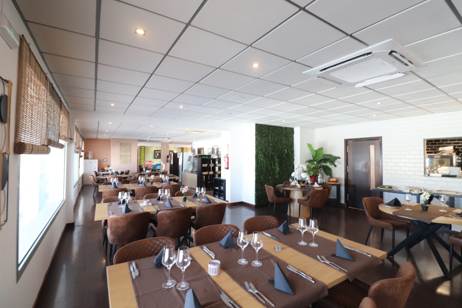 Venta - Comercial (en régimen de arrendamiento) -
CIUDAD QUESADA - Ciudad Quesada - Town