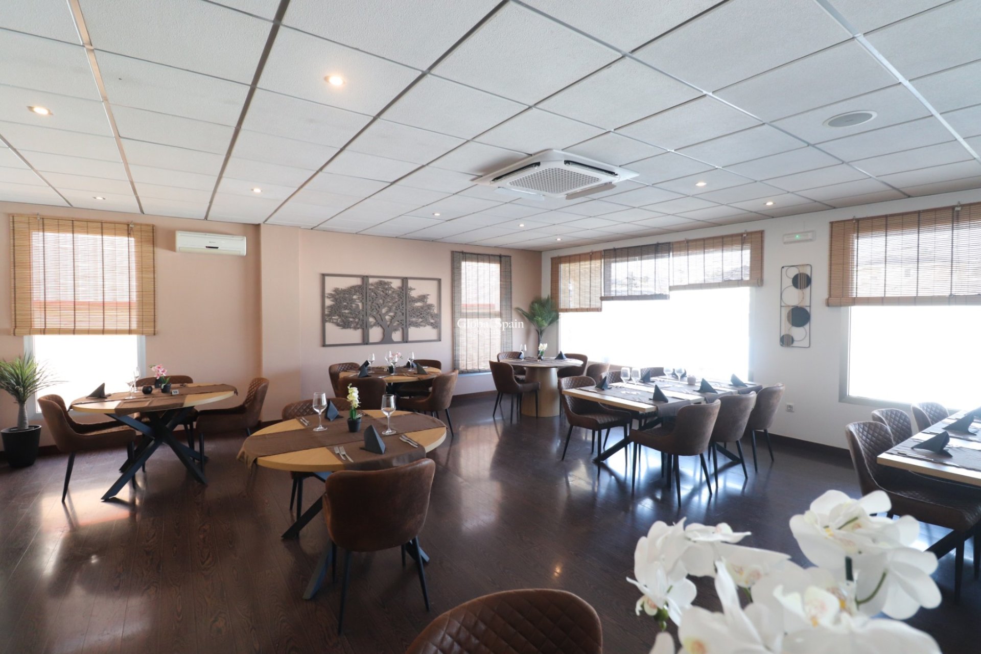 Venta - Comercial (en régimen de arrendamiento) -
CIUDAD QUESADA - Ciudad Quesada - Town