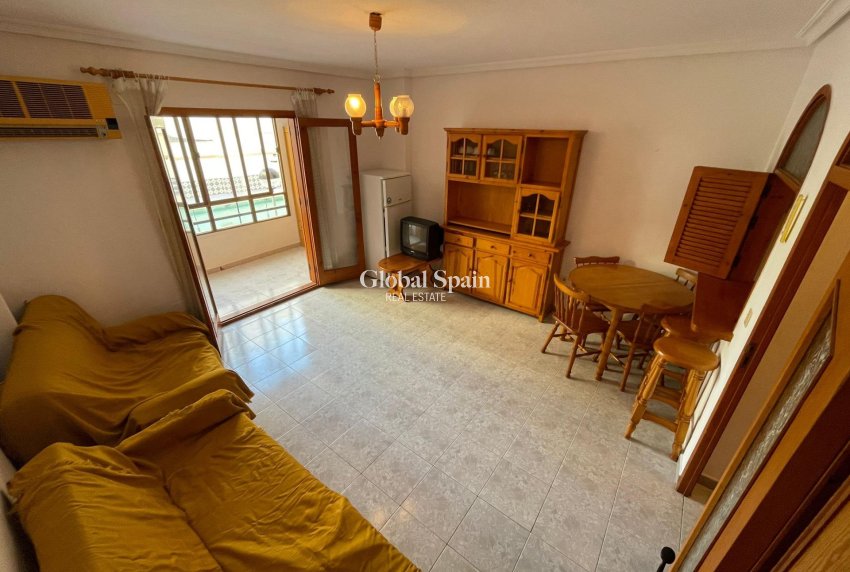 Venta - Estudio -
TORREVIEJA - Estacion de autobuses