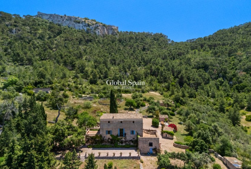 Venta - Finca / Casa de campo -
Felanitx - Mallorca