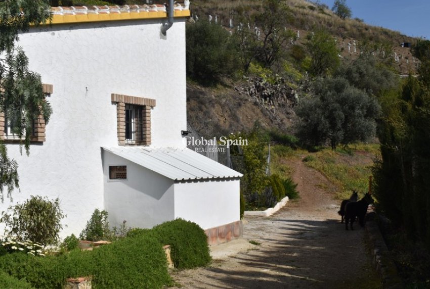 Venta - Finca/Propiedad campestre -
Arenas
