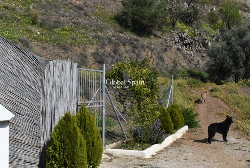 Venta - Finca/Propiedad campestre -
Arenas