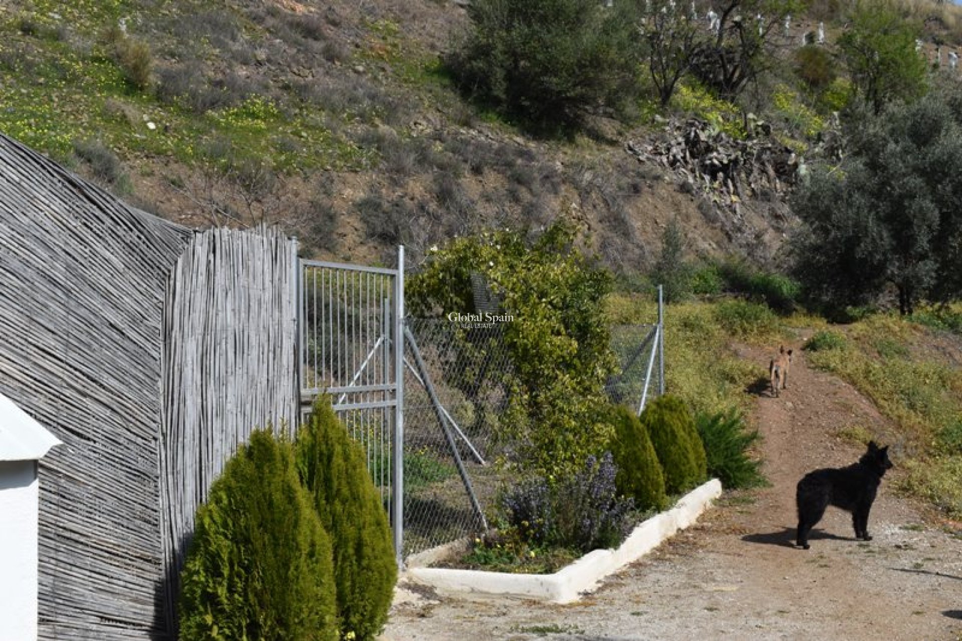 Venta - Finca/Propiedad campestre -
Arenas