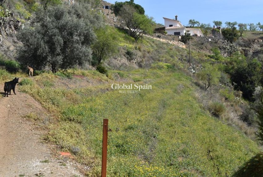 Venta - Finca/Propiedad campestre -
Arenas