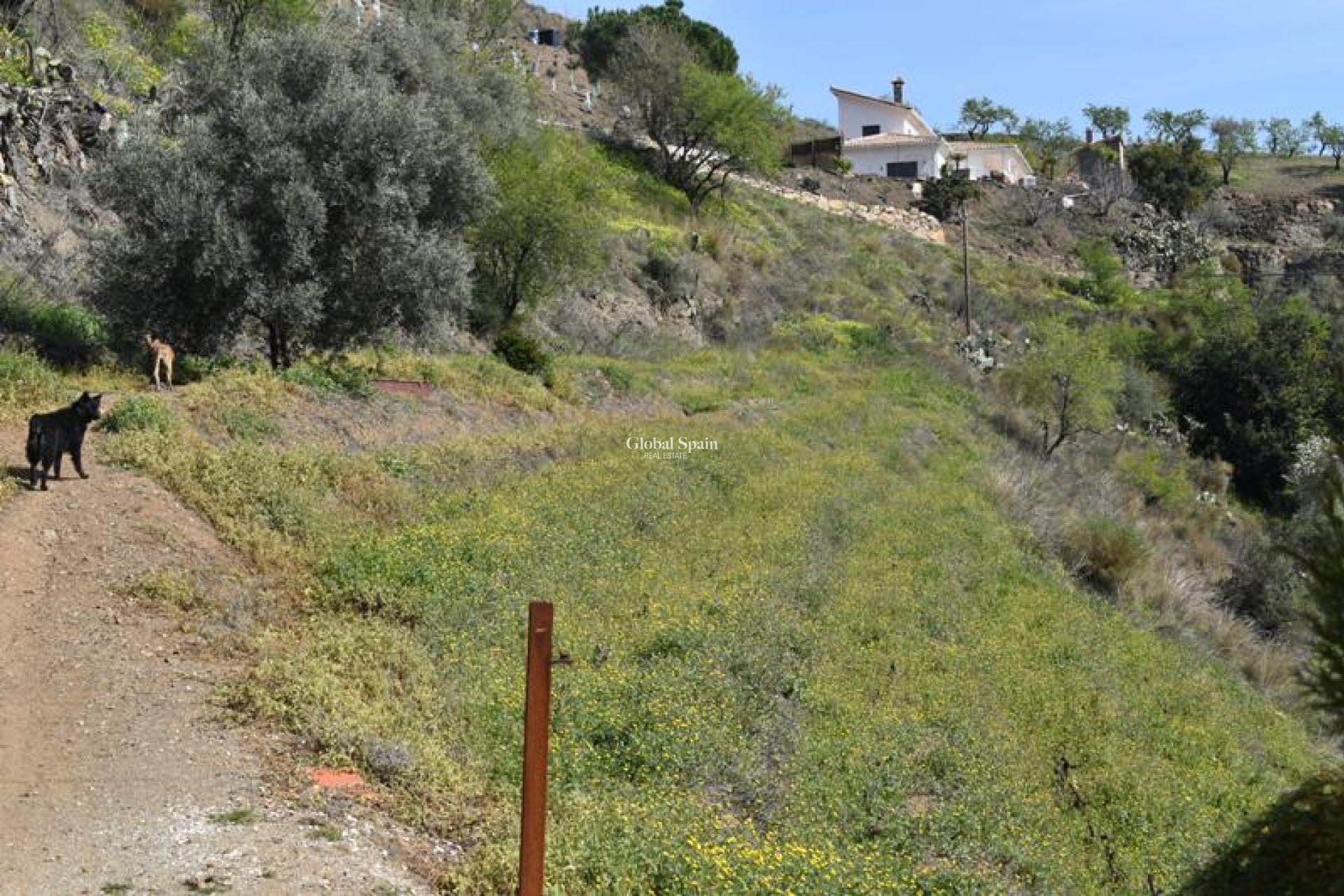 Venta - Finca/Propiedad campestre -
Arenas