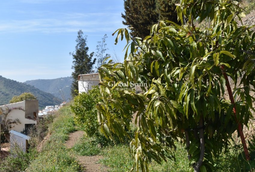 Venta - Finca/Propiedad campestre -
Arenas