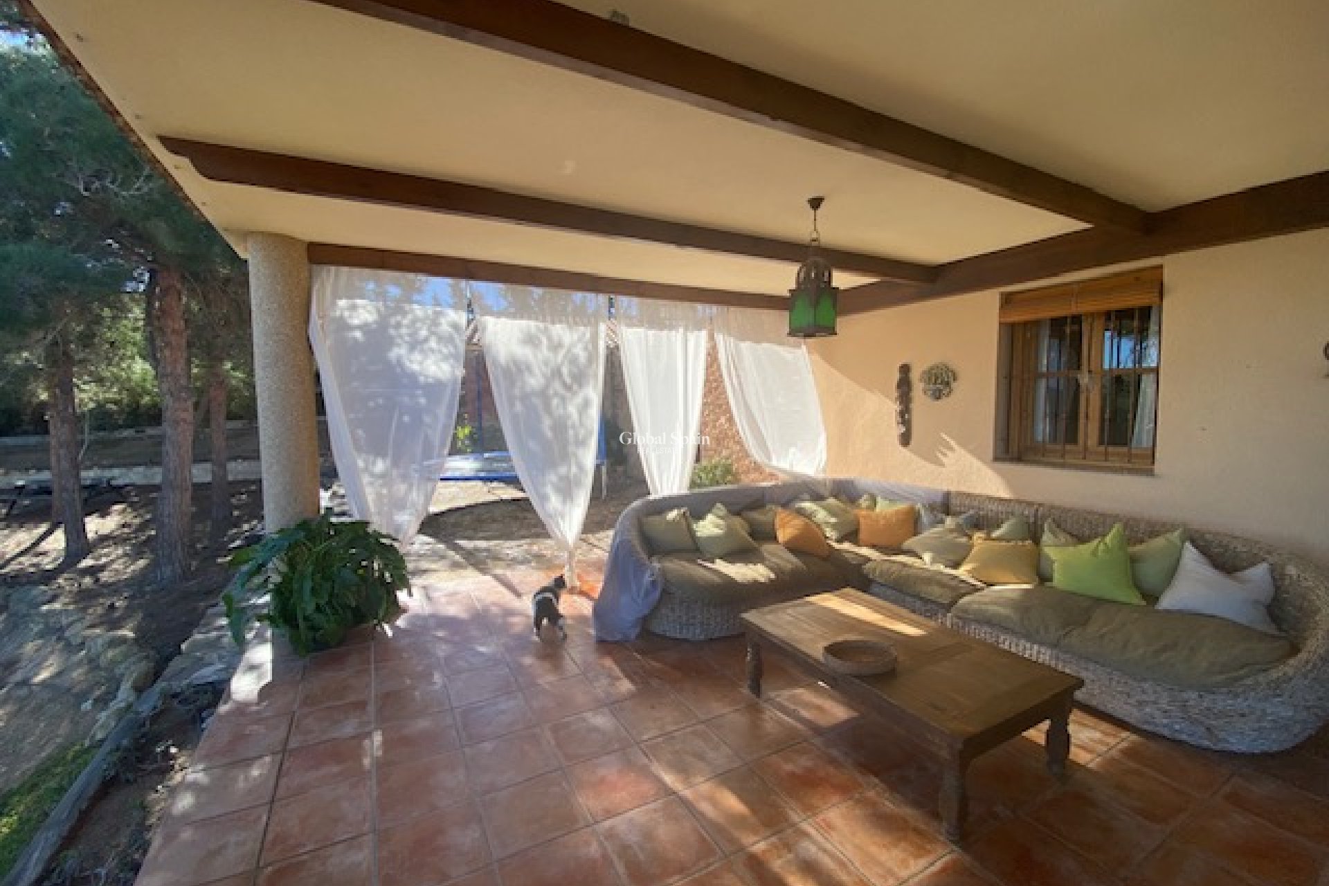 Venta - Finca/Propiedad campestre -
MURCIA