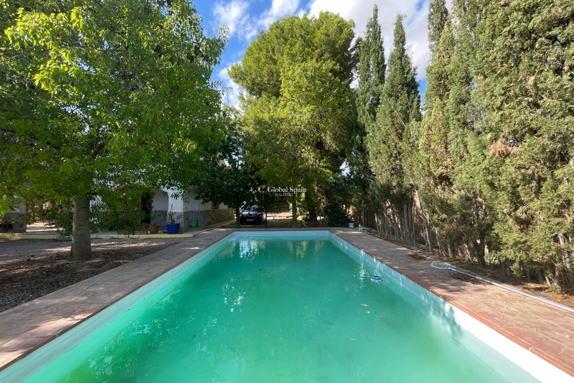 Venta - Finca / Propiedad en el campo -
ALBATERA - Albatera