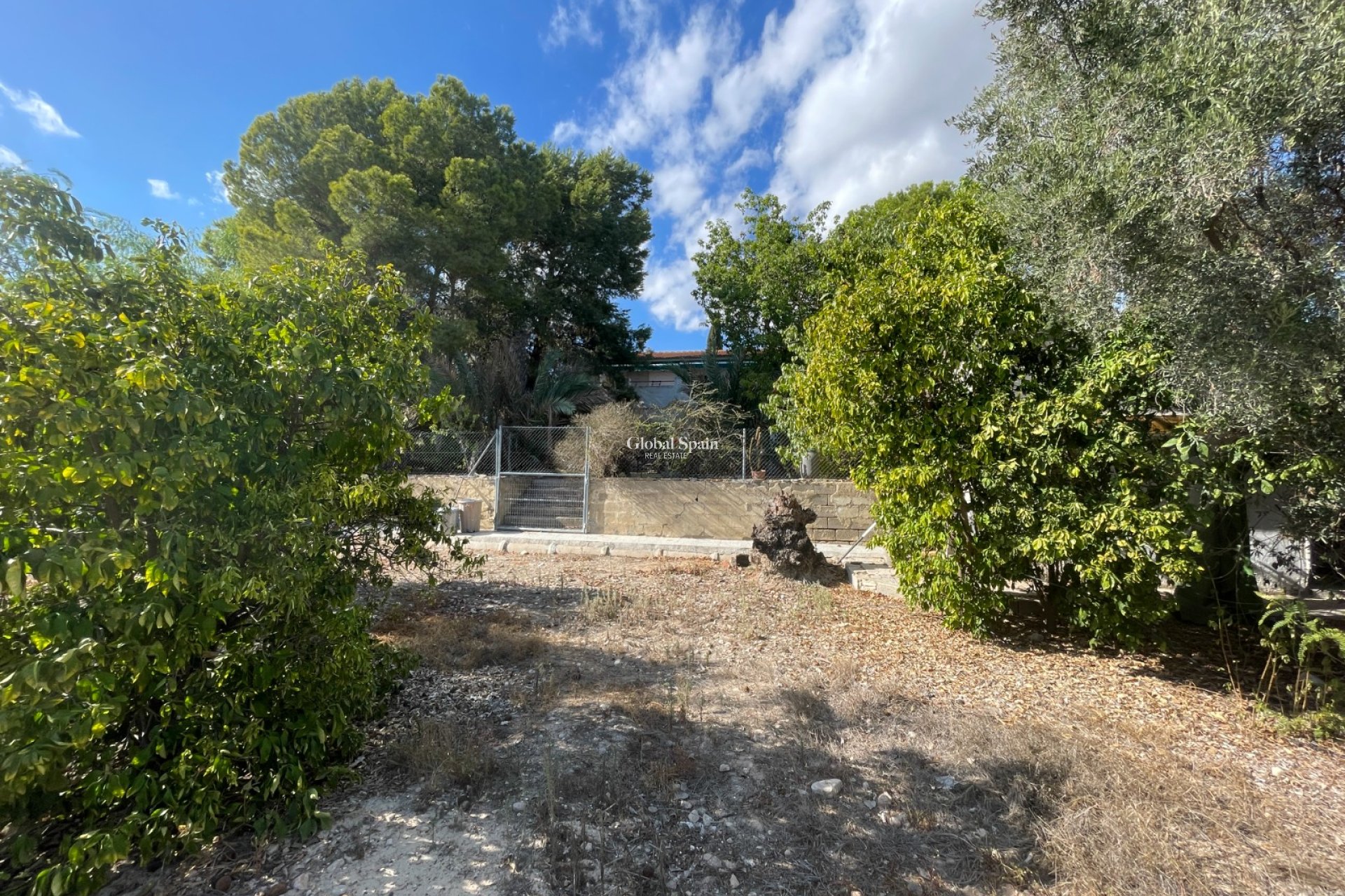 Venta - Finca / Propiedad en el campo -
ALBATERA - Albatera