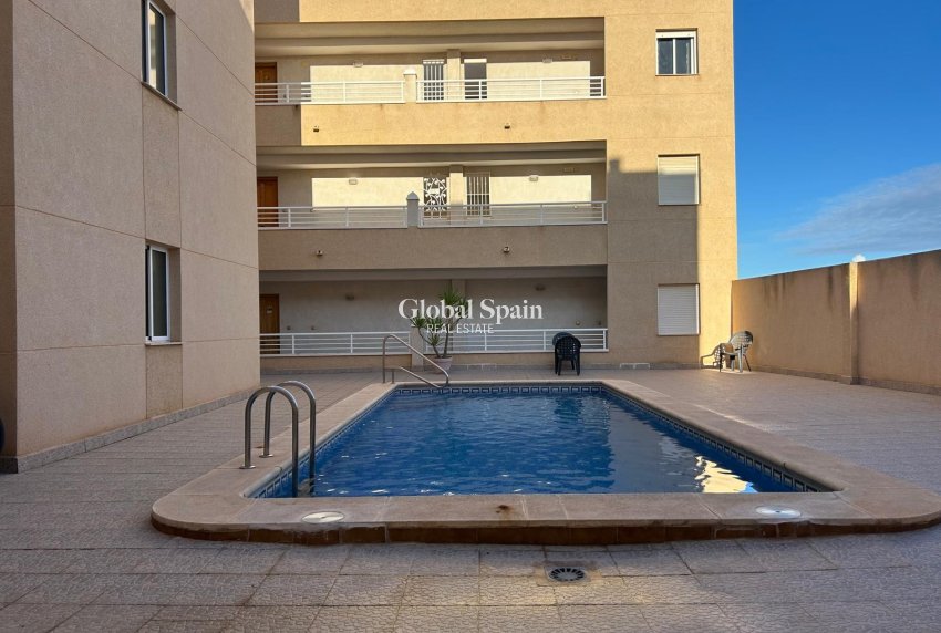 Venta - Planta baja -
LOS MONTESINOS - Los Montesinos