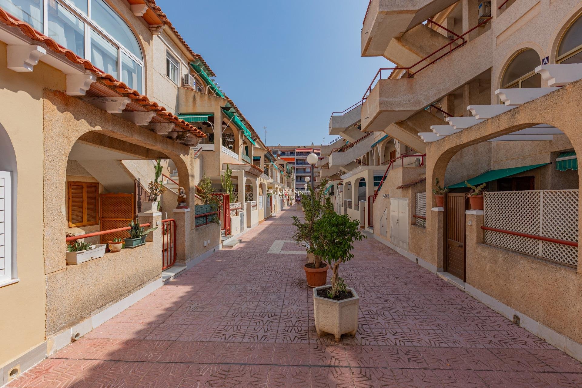 Venta - Planta baja -
TORREVIEJA - Acequion