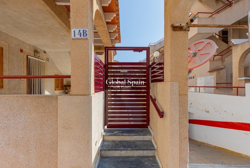 Venta - Planta baja -
TORREVIEJA - Acequion