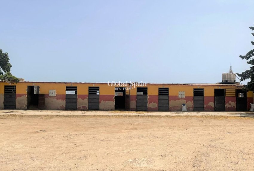 Venta - PROPIEDAD COMERCIAL -
BALSICAS - TORRE PACHECO