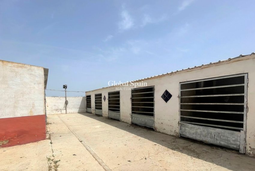 Venta - PROPIEDAD COMERCIAL -
BALSICAS - TORRE PACHECO