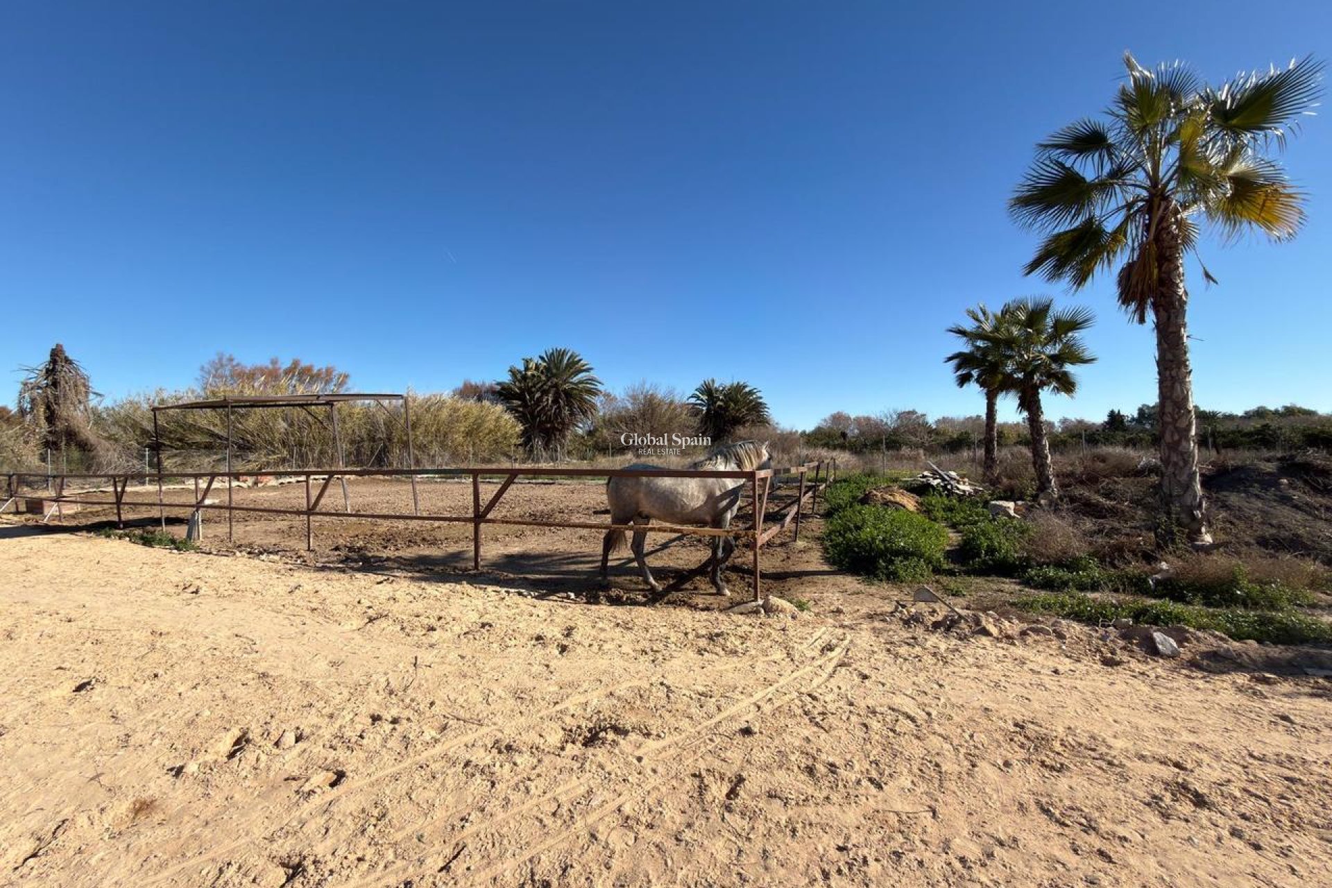 Venta - TERRENO -
ALGORFA - Inland