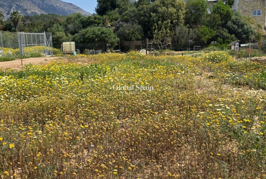 Venta - TERRENO -
ALTEA - Olla Altea
