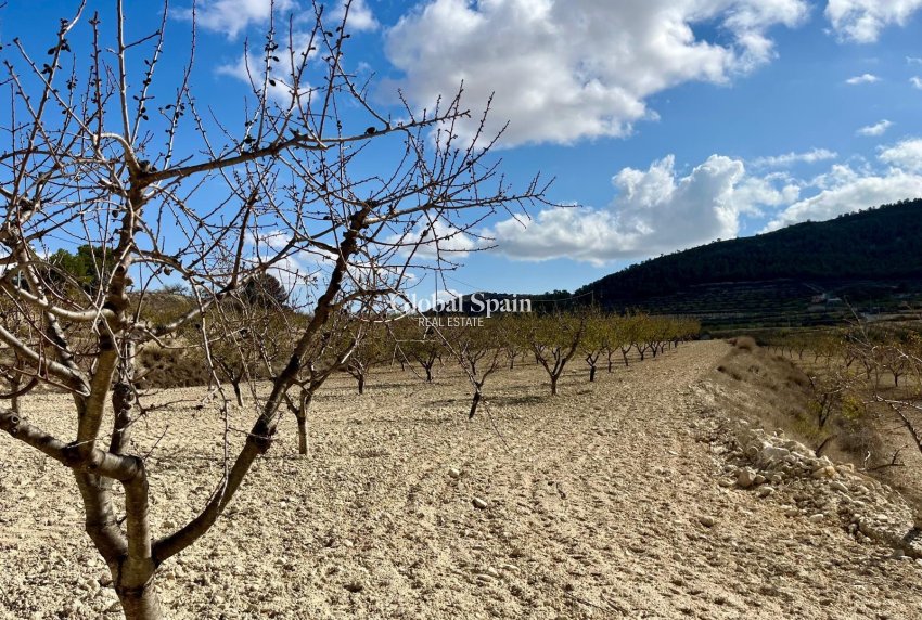 Venta - TERRENO -
BULLAS - Costa Calida