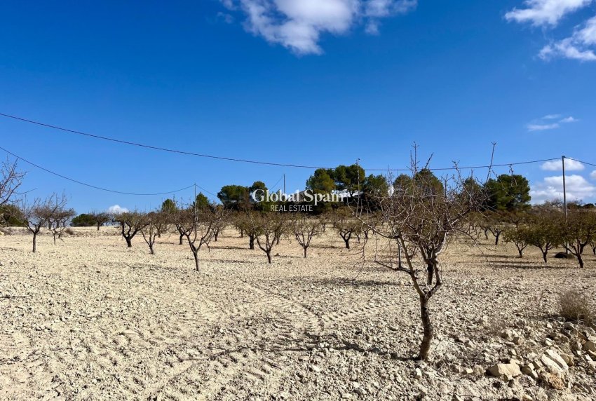 Venta - TERRENO -
BULLAS - Costa Calida