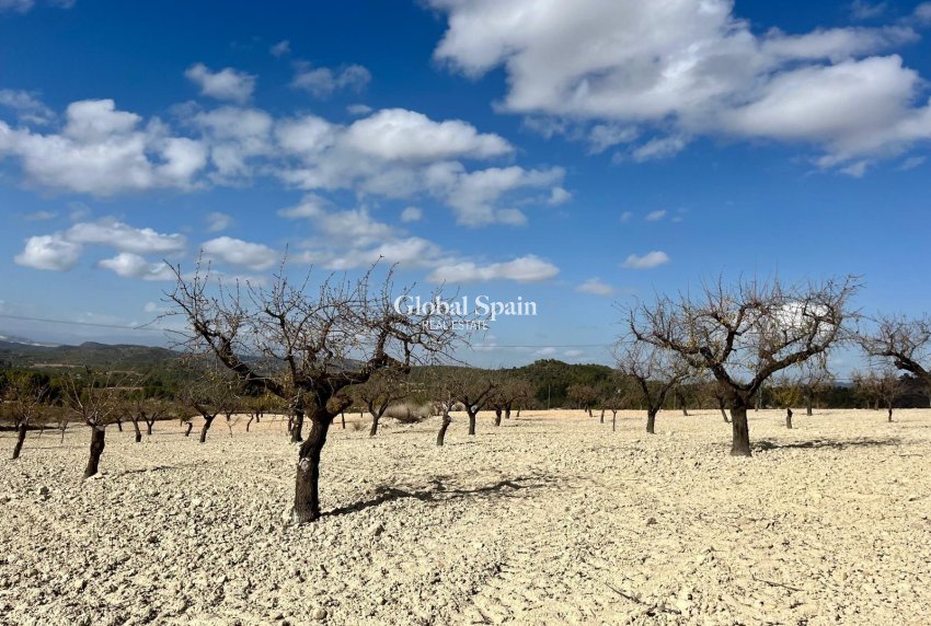 Venta - TERRENO -
BULLAS - Costa Calida