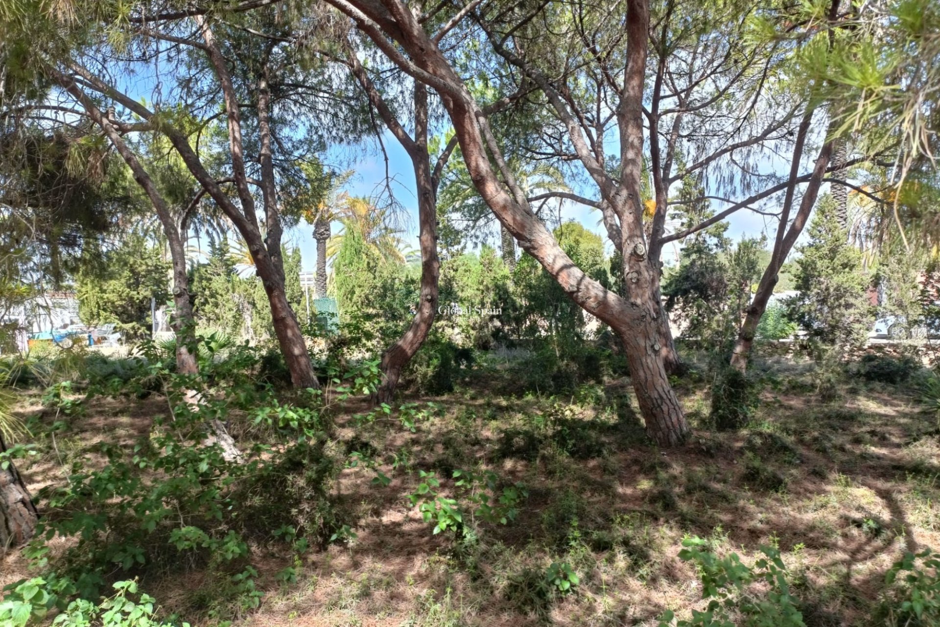 Venta - TERRENO -
CABO ROIG - Costa Blanca