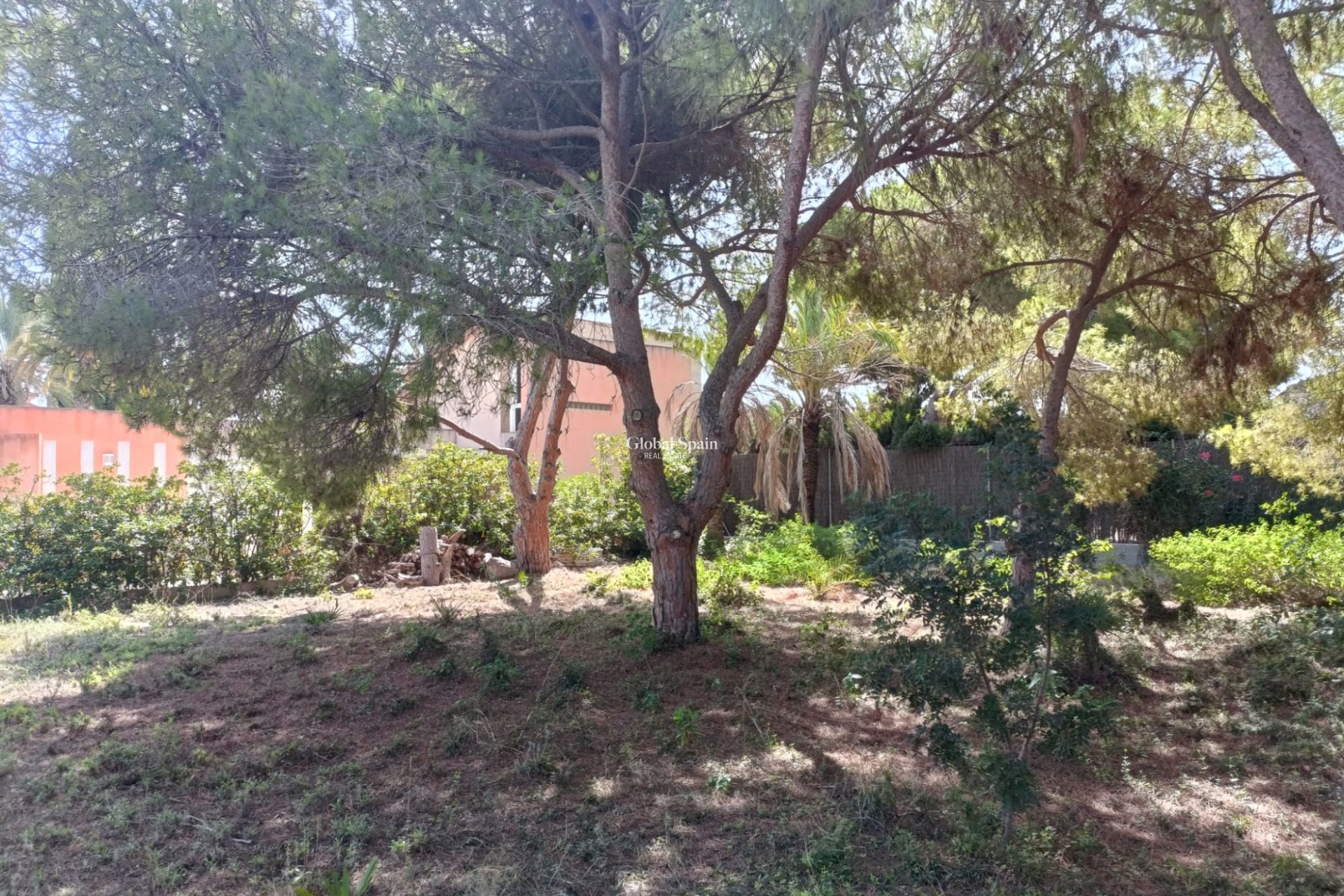 Venta - TERRENO -
CABO ROIG - Costa Blanca