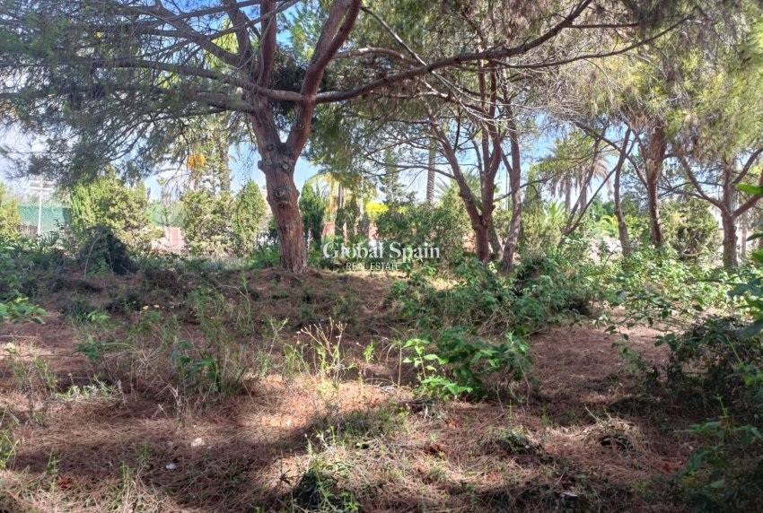 Venta - TERRENO -
CABO ROIG - Costa Blanca