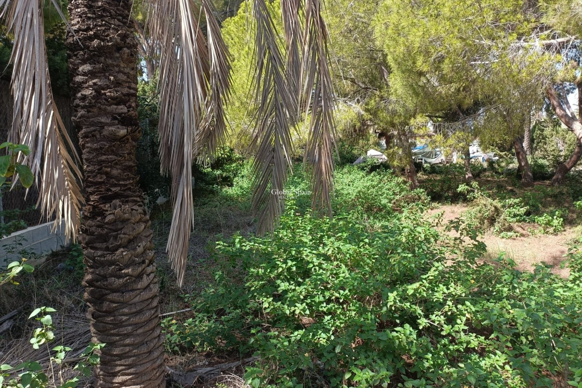 Venta - TERRENO -
CABO ROIG - Costa Blanca