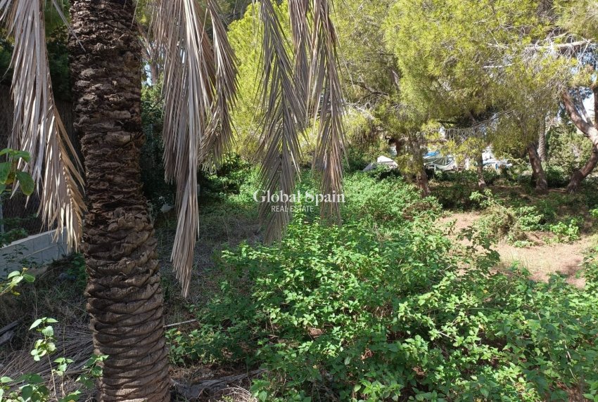 Venta - TERRENO -
CABO ROIG - Costa Blanca