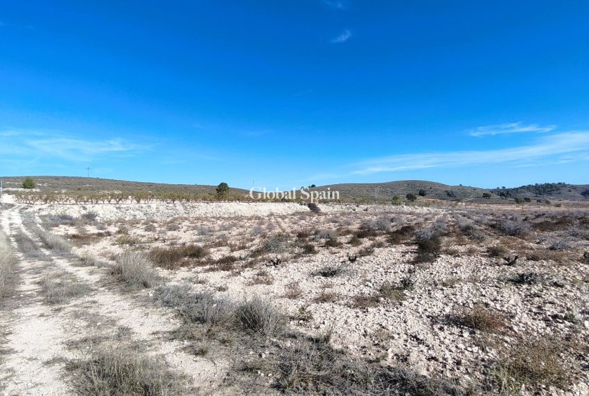 Venta - TERRENO -
CAÑADA DEL TRIGO - Inland