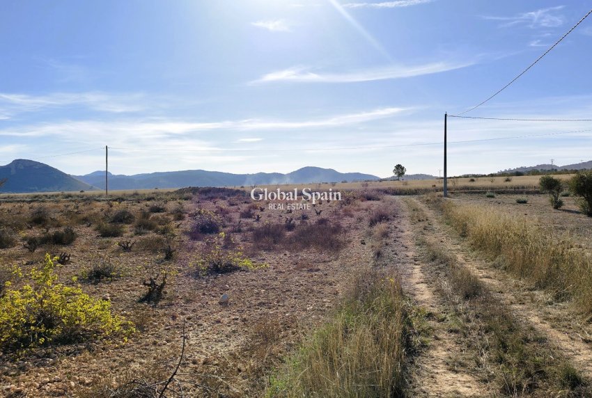 Venta - TERRENO -
CAÑADA DEL TRIGO - Inland